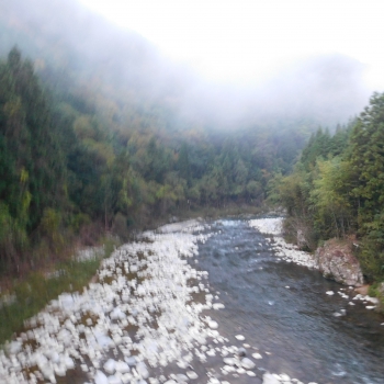 DSCN8332.JPG
