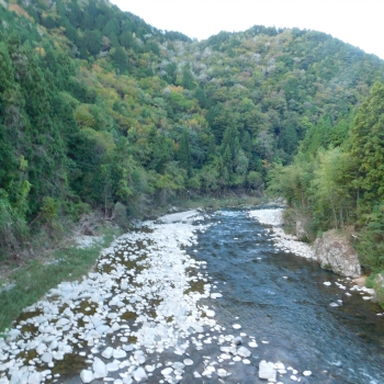 DSCN8336.JPG