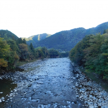 DSCN8339.JPG