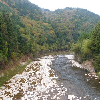 DSCN8345.JPG