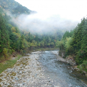 DSCN8349.JPG
