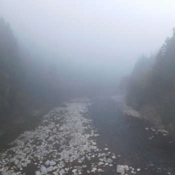 DSCN8353.JPG