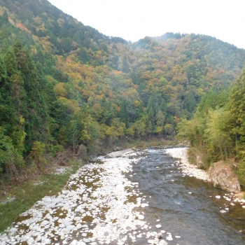 DSCN8431.JPG