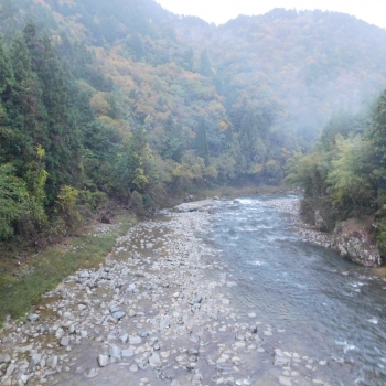 DSCN8435.JPG
