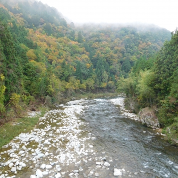 DSCN8439.JPG