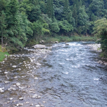 DSCN8443.JPG