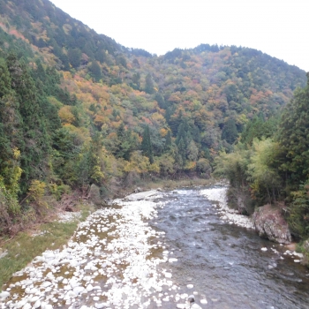DSCN8443.JPG