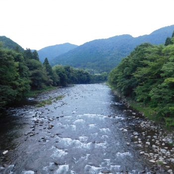 DSCN8445.JPG