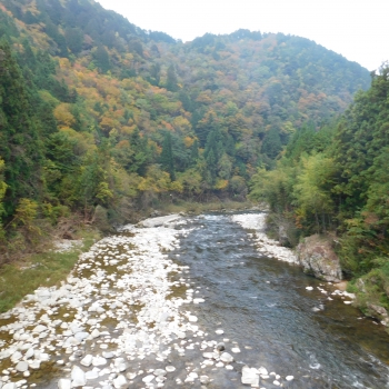 DSCN8447.JPG
