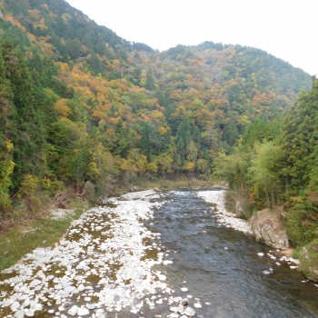 DSCN8451.JPG