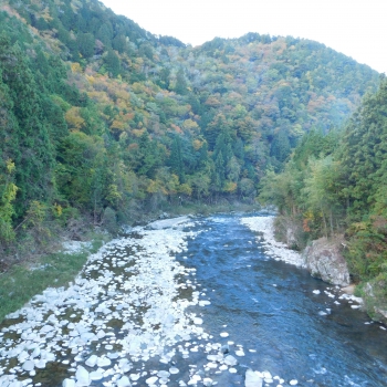 DSCN8455.JPG