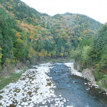 DSCN8460.JPG