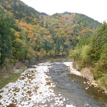 DSCN8465.JPG