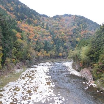 DSCN8474.JPG
