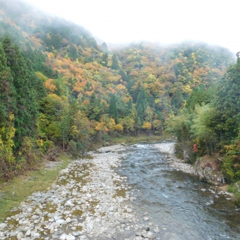 DSCN8528.JPG