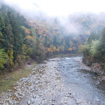 DSCN8532.JPG