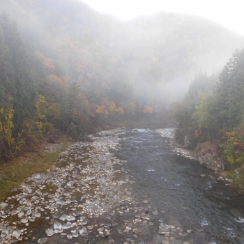 DSCN8536.JPG