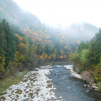 DSCN8540.JPG