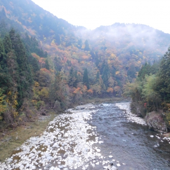 DSCN8544.JPG