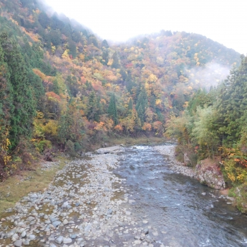 DSCN8548.JPG