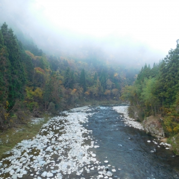 DSCN8552.JPG