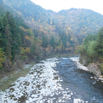 DSCN8556.JPG