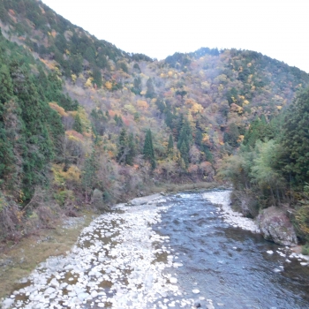 DSCN8560.JPG