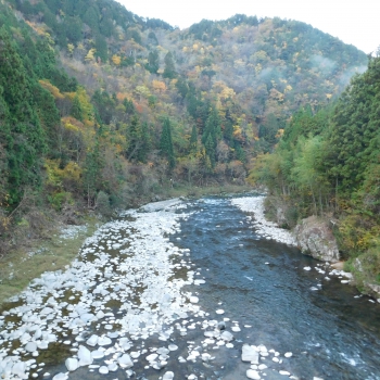 DSCN8564.JPG