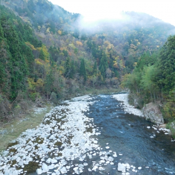 DSCN8576.JPG