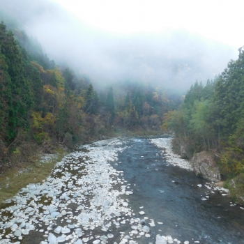 DSCN8582.JPG