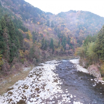 DSCN8586.JPG