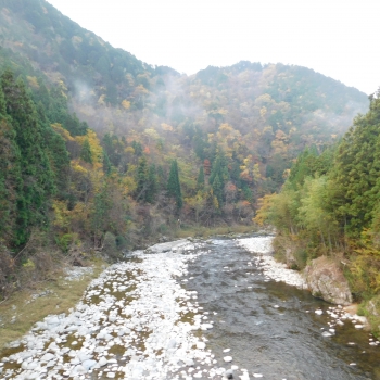 DSCN8590.JPG