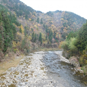 DSCN8594.JPG