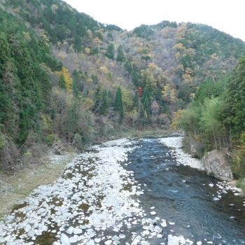 DSCN8598.JPG