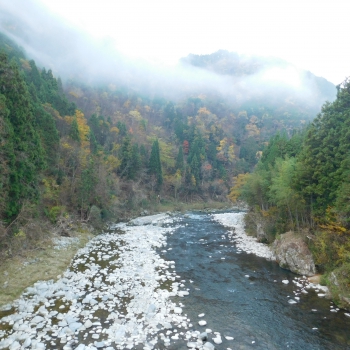 DSCN8603.JPG