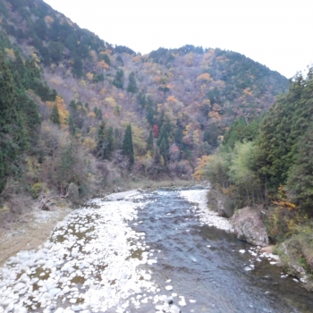 DSCN8607.JPG
