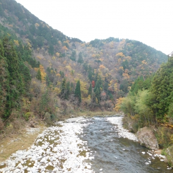 DSCN8611.JPG