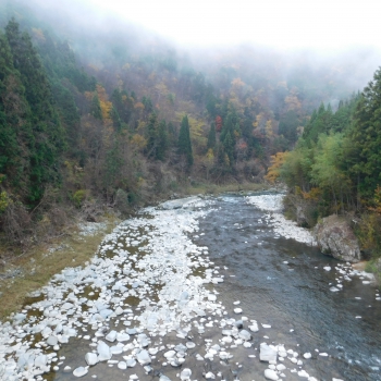 DSCN8619.JPG