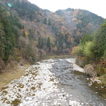DSCN8623.JPG