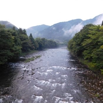 DSCN8677.JPG