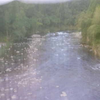 DSCN8679.JPG
