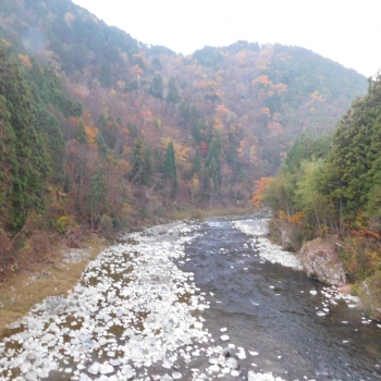 DSCN8722.JPG
