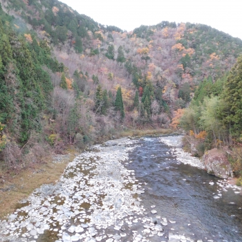 DSCN8726.JPG