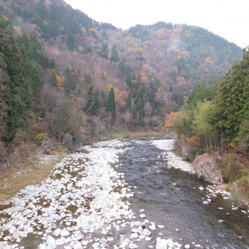 DSCN8730.JPG