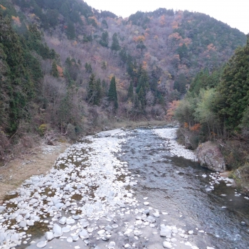 DSCN8734.JPG