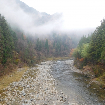 DSCN8742.JPG