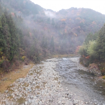 DSCN8746.JPG