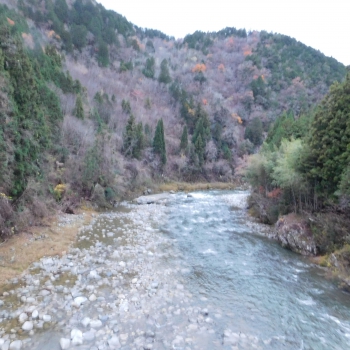 DSCN8750.JPG