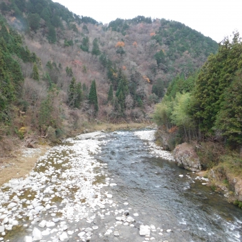 DSCN8754.JPG