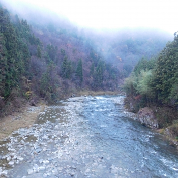 DSCN8758.JPG